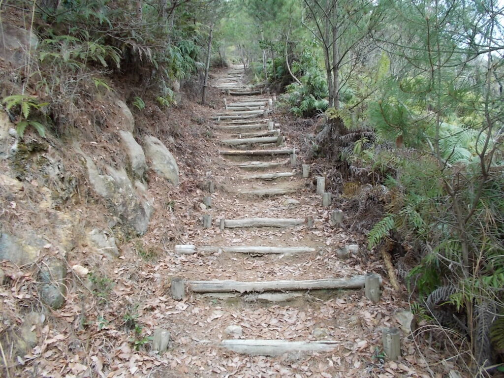 11：01　ここから階段道になりました。