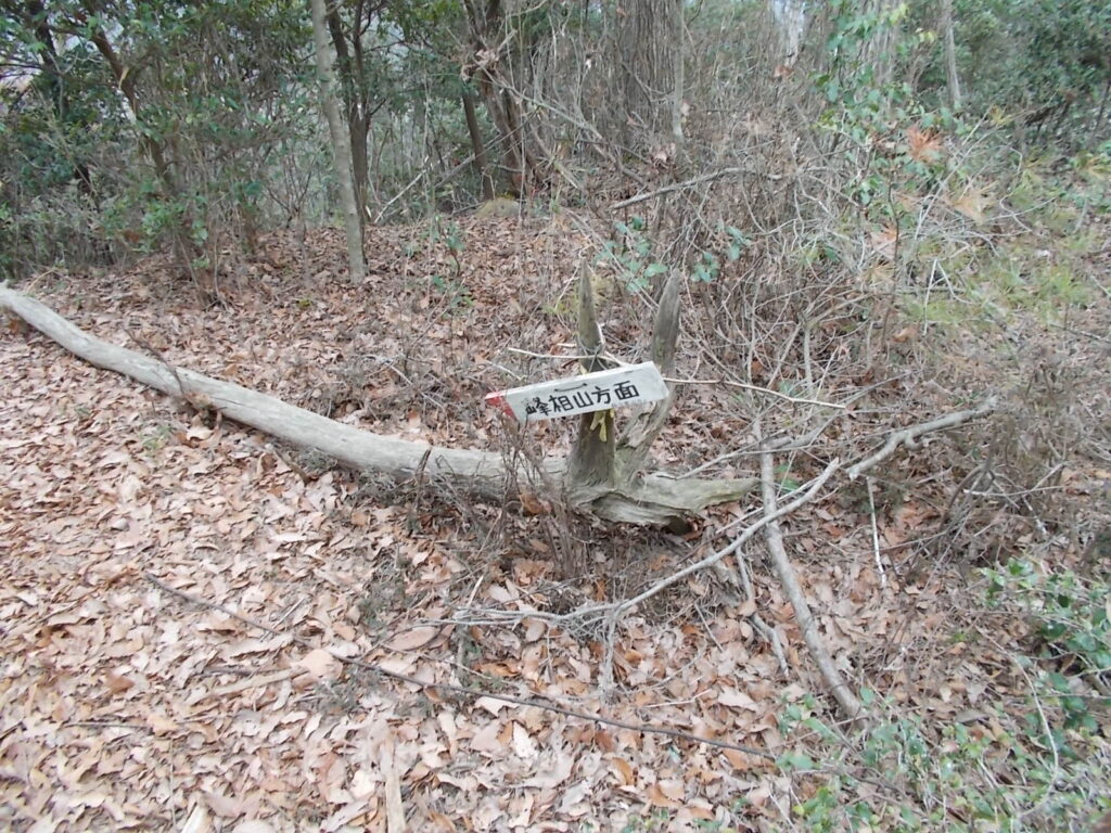 11：05　峰相山への分岐