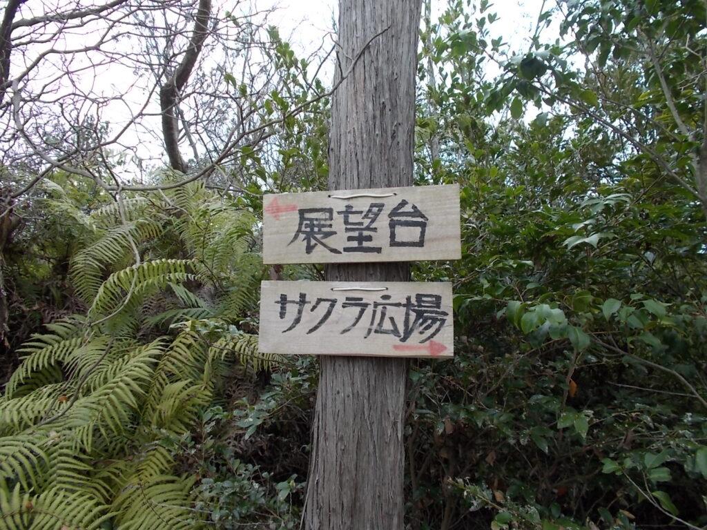 11：05　展望台への案内板