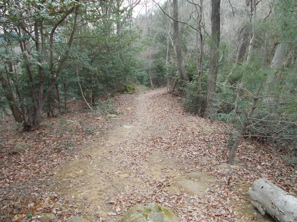 11：05　このあたりはゆるやかな登山道ですが・・・