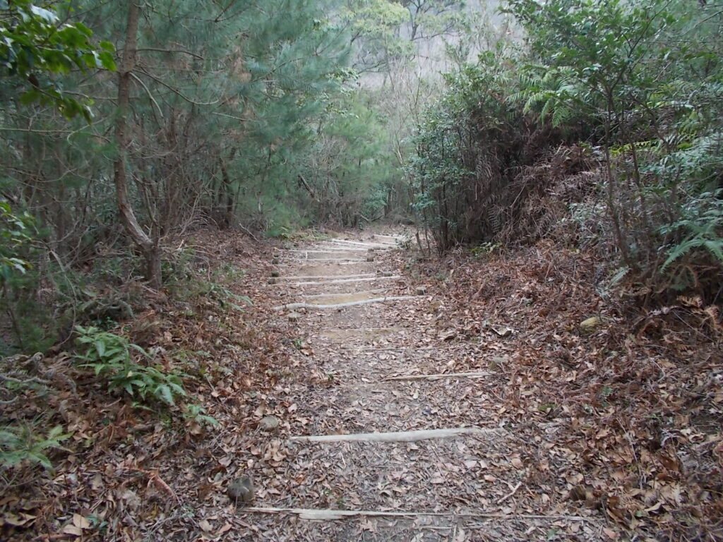 11：09　そして上ったと思ったらすぐに急下りになりました。ここはこんなのばっかりです。