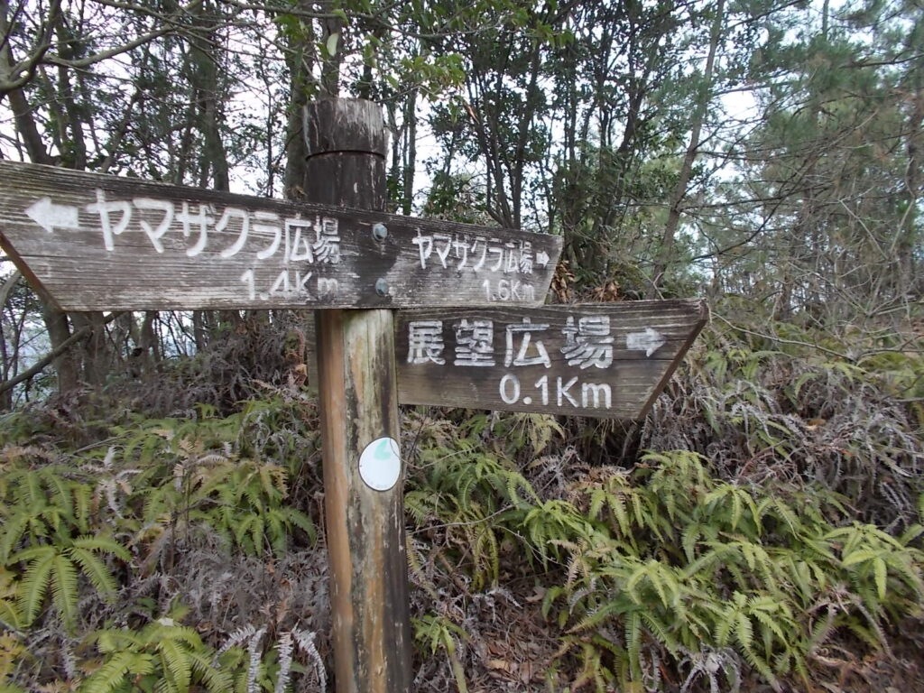 11：13　展望広場への分岐