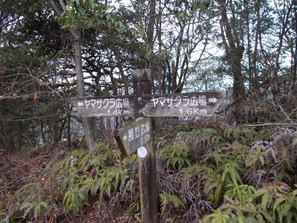 11：19　分岐に戻りました。ここを右へ。