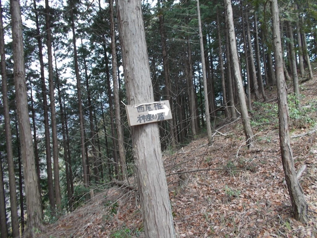 11：27　西尾根への分岐。右へ下るとさくら広場に戻ります。