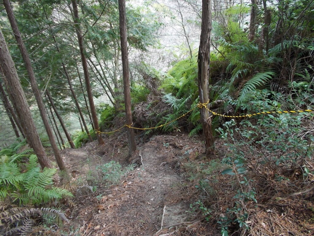 11：27　上ったピークから、またまた一気に下ります。こんなんばっかし。