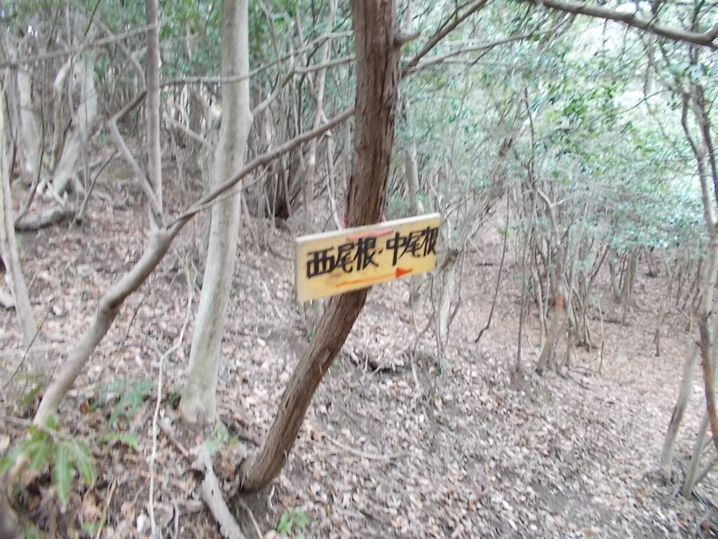 11：36　ここから右へ迂回します。