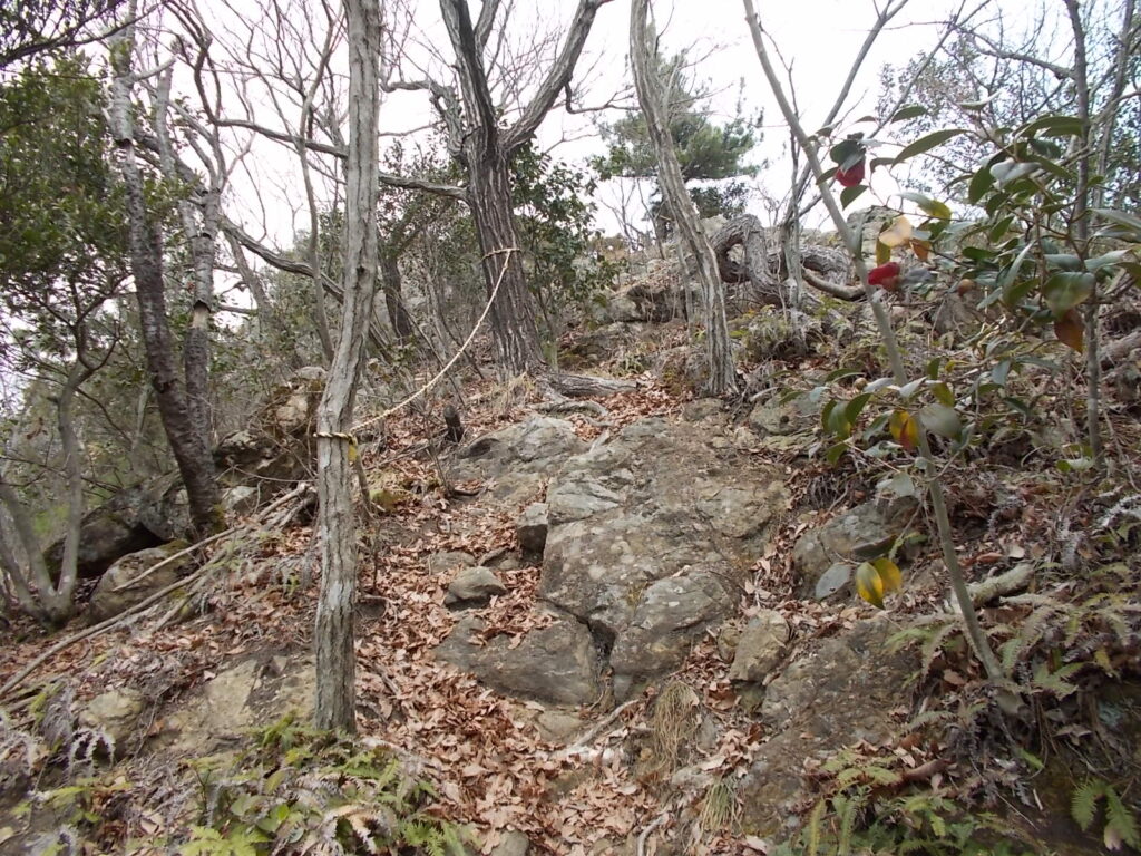 11：41　岩場を上ります。