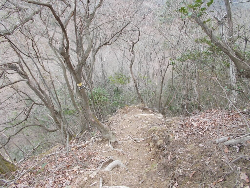 11：50　案内柱の手前に戻り、ロープのある急坂を下ります。この山はこんなのばかりです。