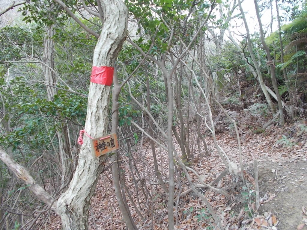 12：08　伊勢山への分岐。ここを左へ