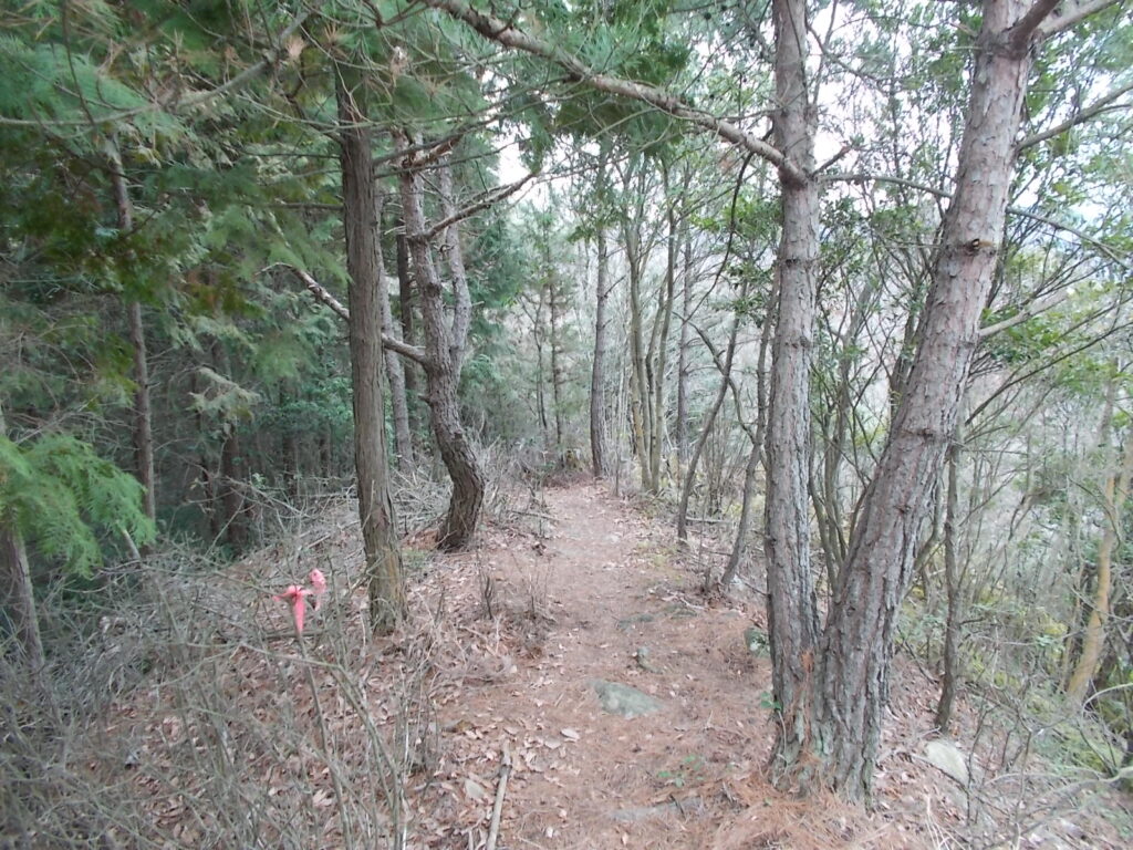 12：12　歩きやすい尾根筋