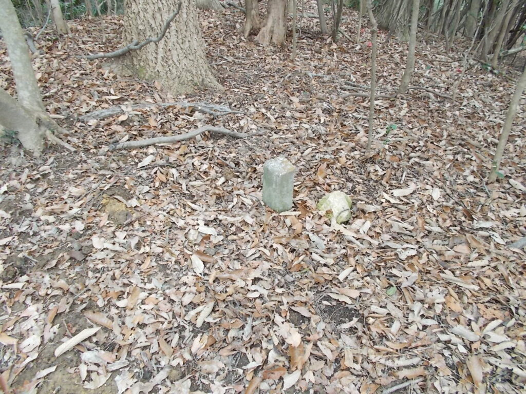 12：38　次のピークです。