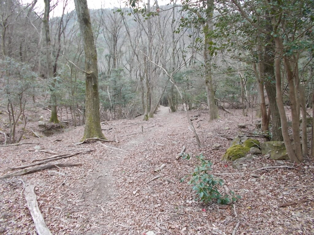 12：48　歩きやすい広いルートです。