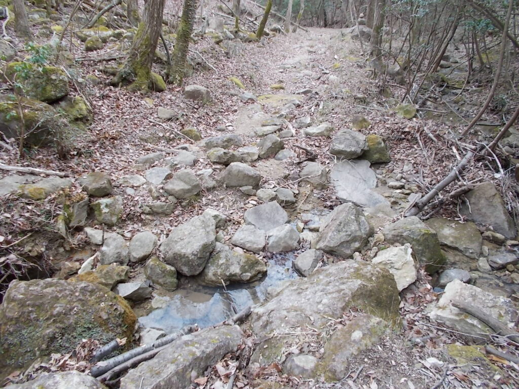 12：49　さらに流れを渡ります。