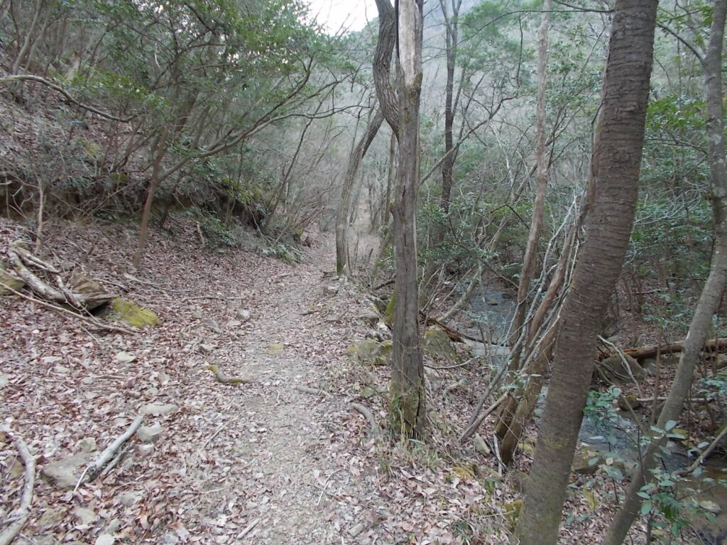 12：48　小川沿いに歩きます。
