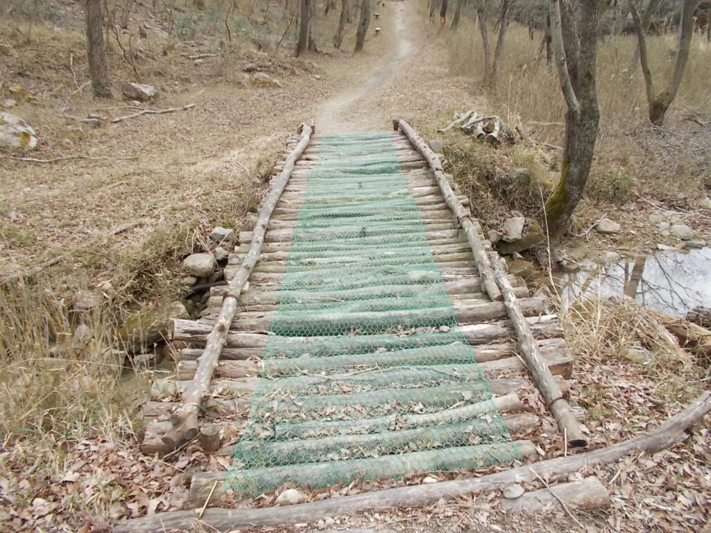 12：54　橋を渡ります。
