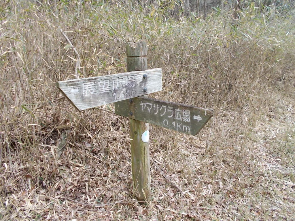 12：48　さくら広場への案内。