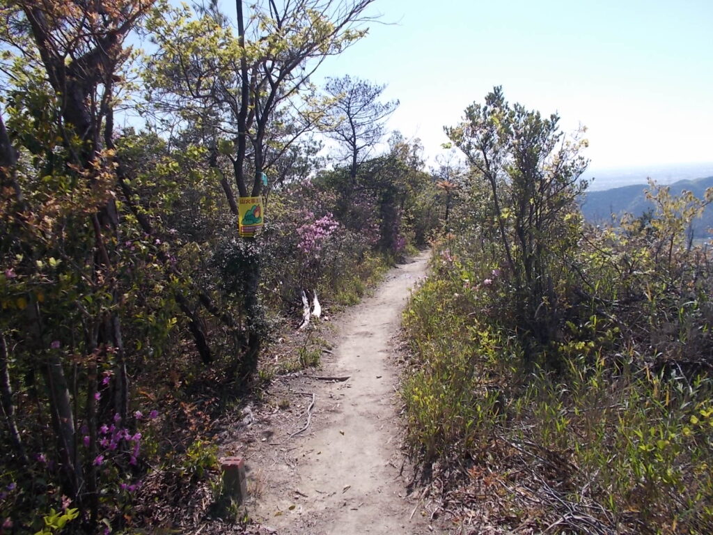9：19　歩きやすい尾根道