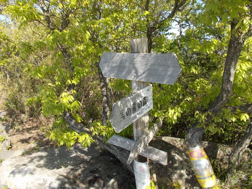 9：20　馬の背への分岐