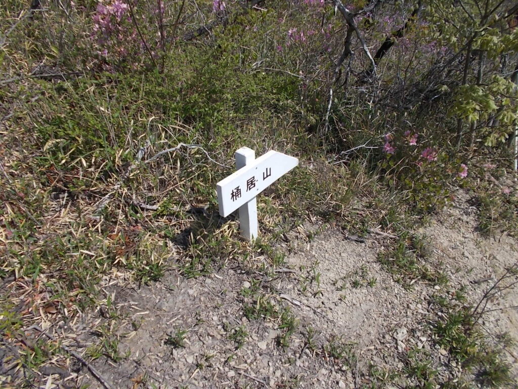 9：23　桶居山への分岐