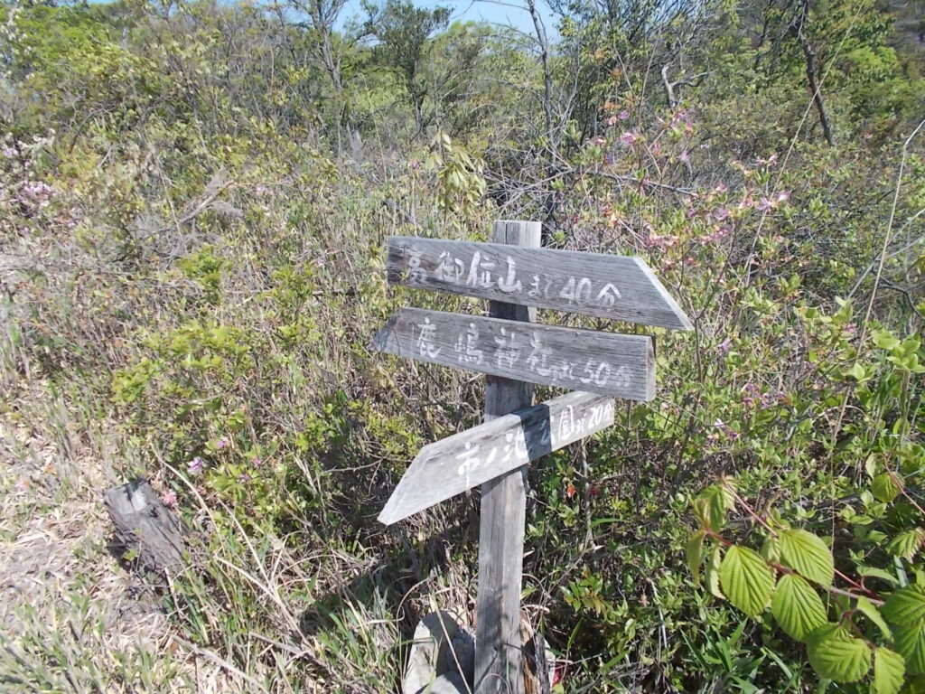 9：28　市ノ池への分岐。山頂まで40分