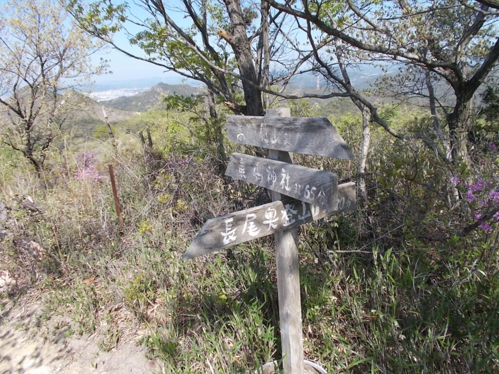 9：37　長尾奥登山口への分岐