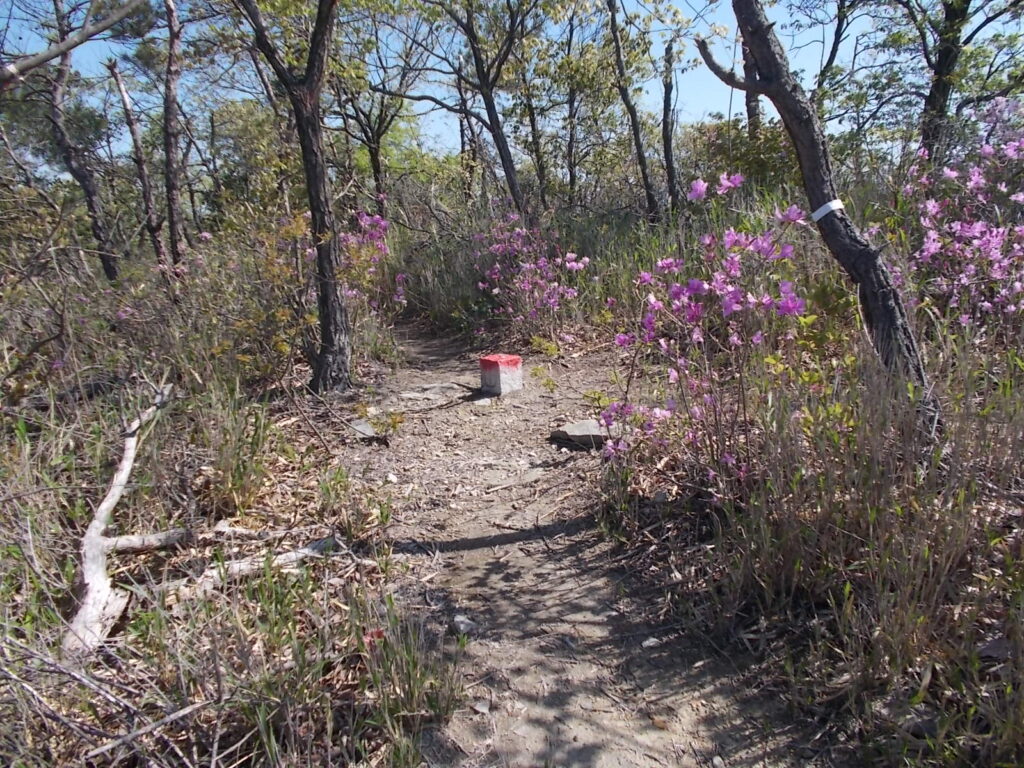 9：42　次のピーク