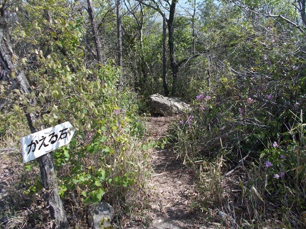 9：44　かえる岩