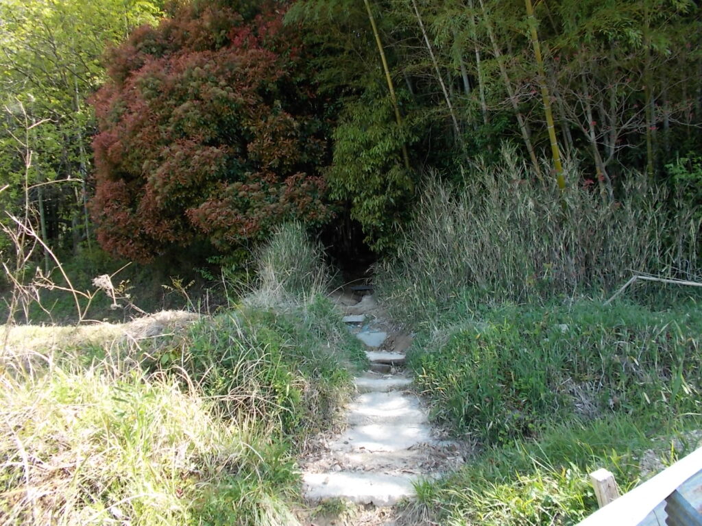 10：08　長尾の登山口です。これだけだと全くわかりませんが、手前に案内板があります。