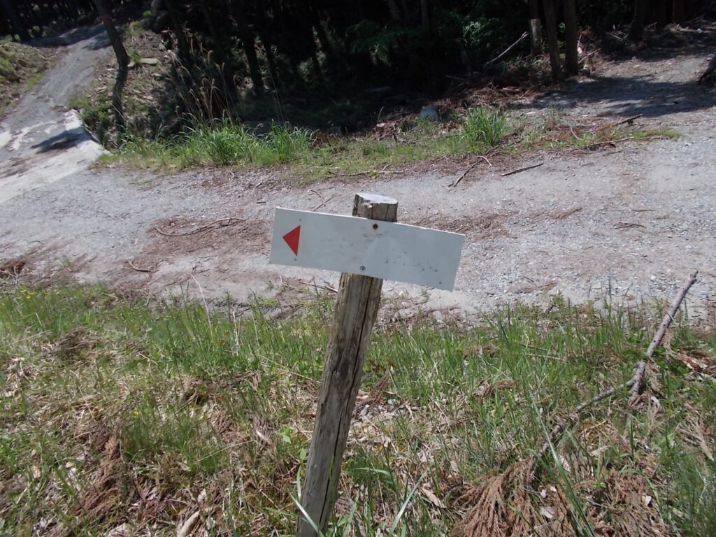 10:51 分岐に着きました。ほとんで見えない案内板ですが、三室山と書いてあります。こちらへ進みます。右に進むと川の反対側へ出ます。