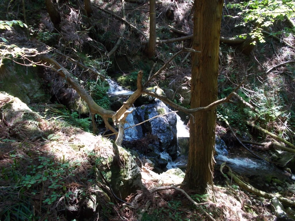 11:09 川沿いに進んでいきます。せせらぎの音で癒されます。