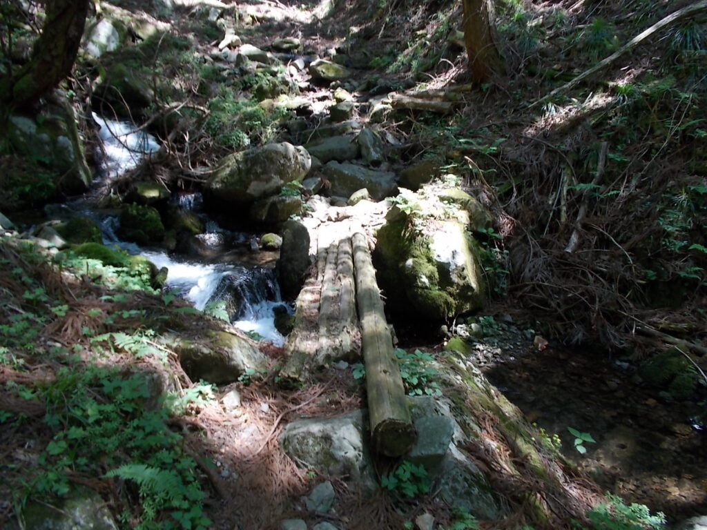 11:10 丸木橋を渡ります。だいぶ痛んでます。