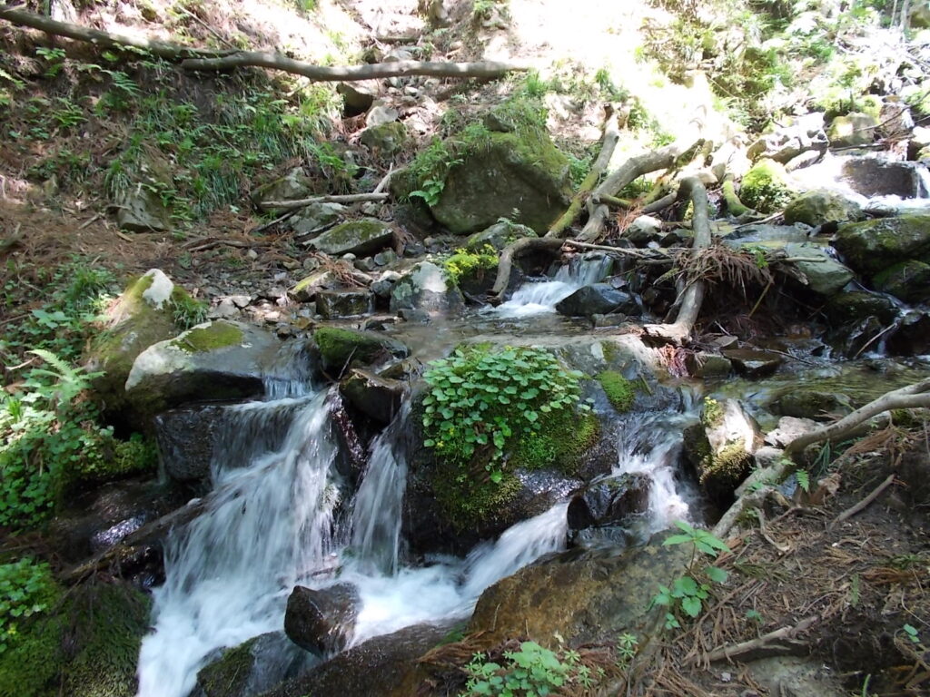11:13 涼しそうな水です。冷たいんでしょうね。