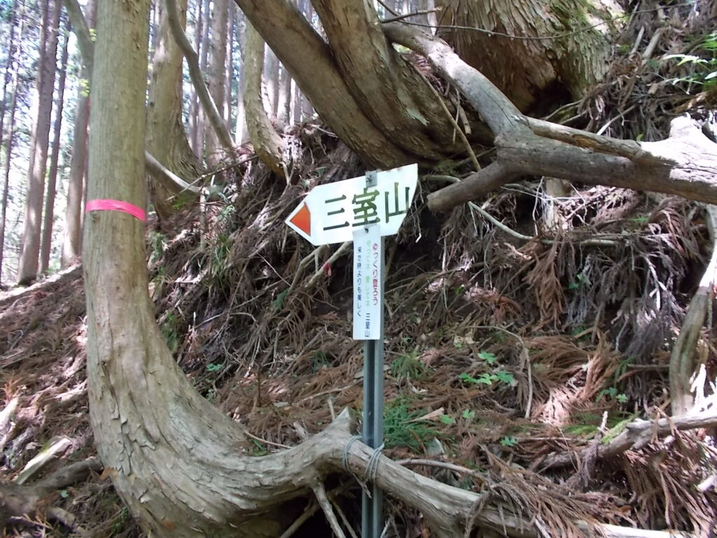 11:13 案内板です。たまに出てきます。