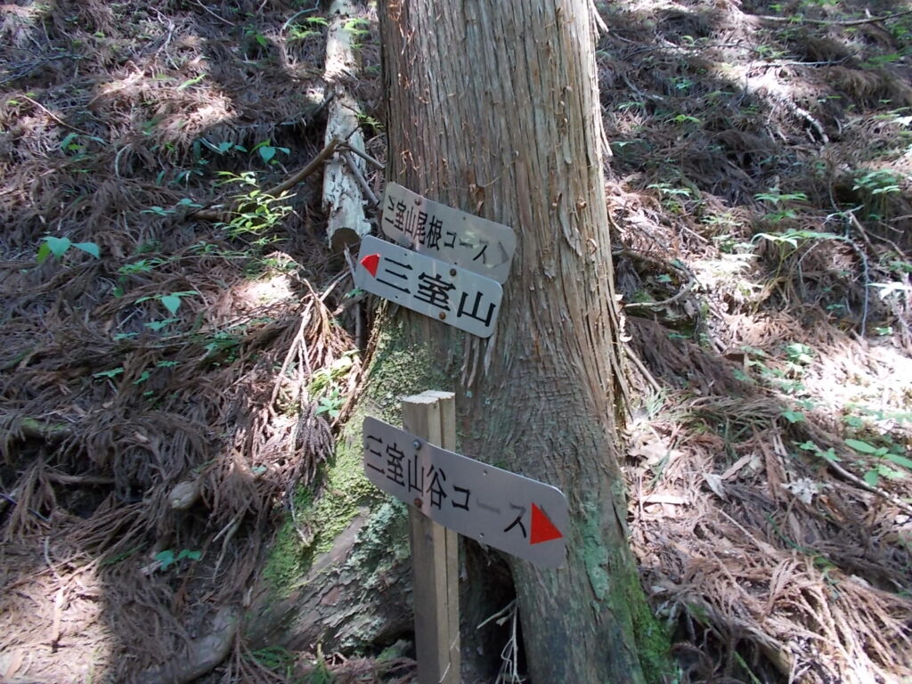 11:14 ここからぐるっと回り込みながら登っていきます。