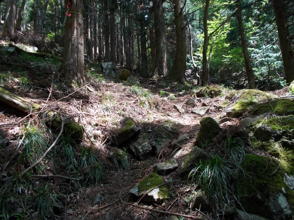 11:19 登山道の様子です。