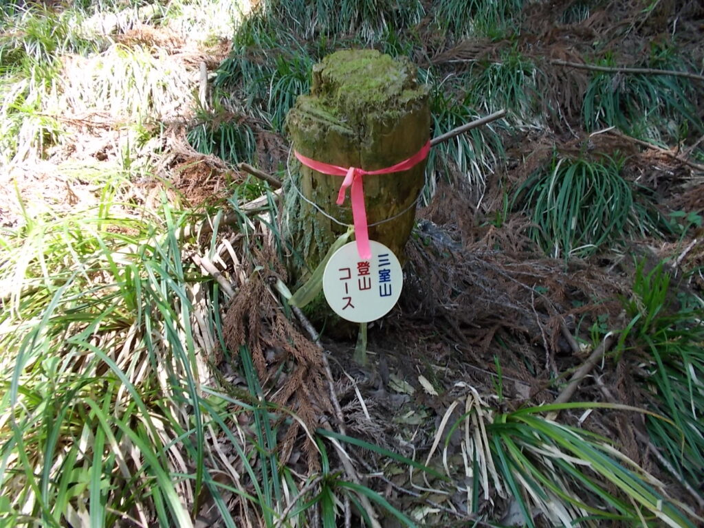 11:21 三室山登山コースのタグ?結構あります。