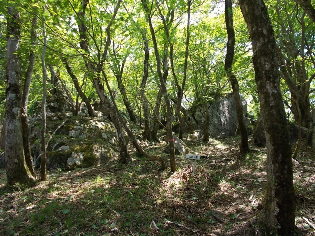 11:43 大岩庭園です。大きな岩がゴロゴロしています。
