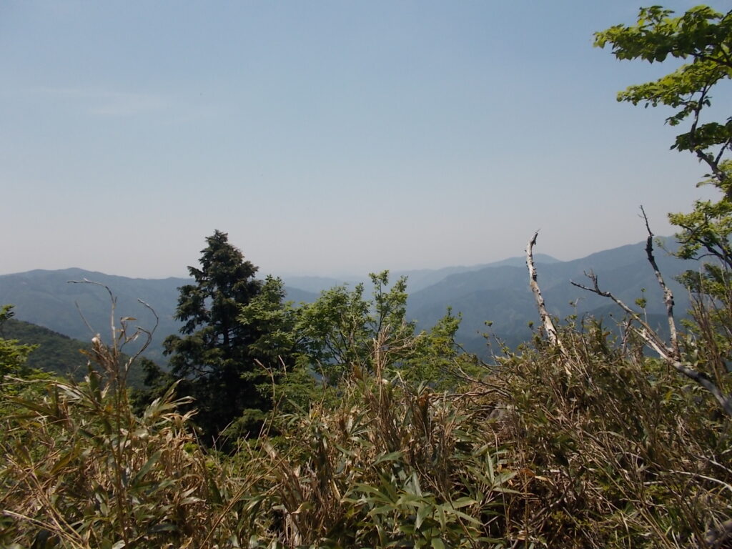 11:48 見晴らしのいいところに出ました。ほっとしますね。