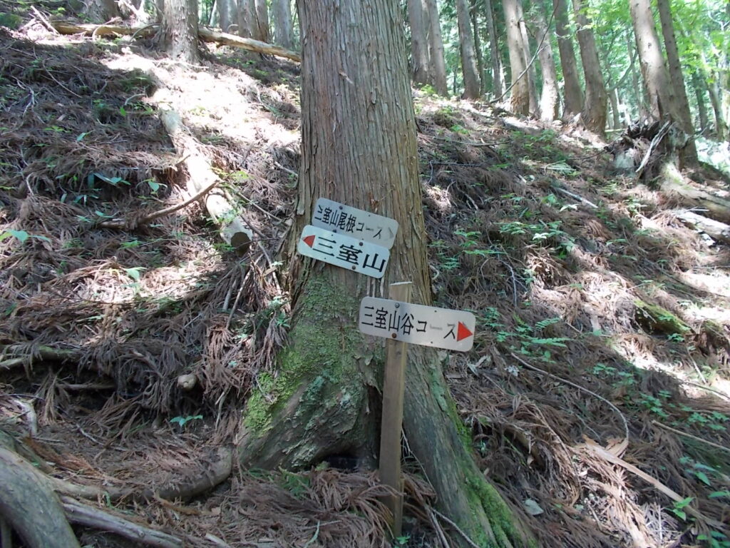12:41 巻道の入り口に戻ってきました。