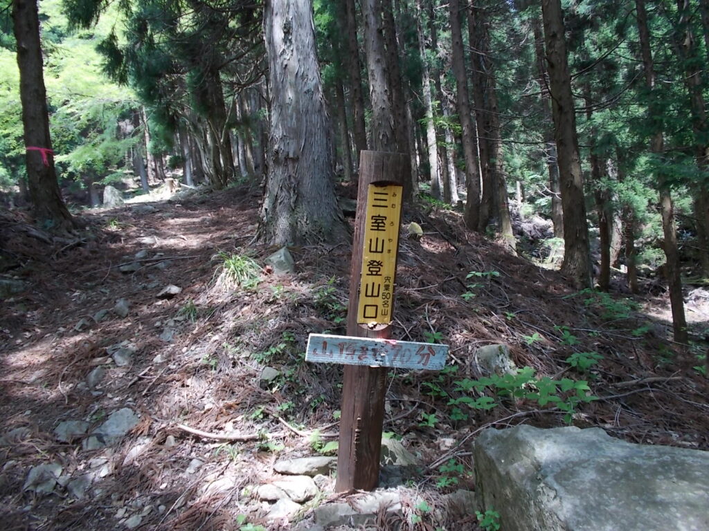 12:48 林道終点の登山口に戻りました。