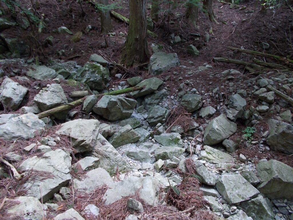 10：50　水のない沢を渡ります。