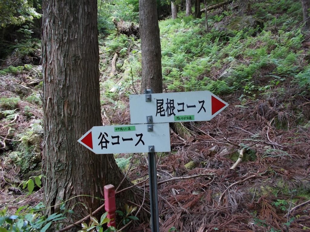 10：55　谷コースと尾根コースの分岐。尾根コースに進みます。