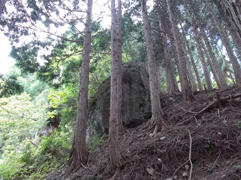 11：04　穏やかな道ってなってますが、なかなかの傾斜です。