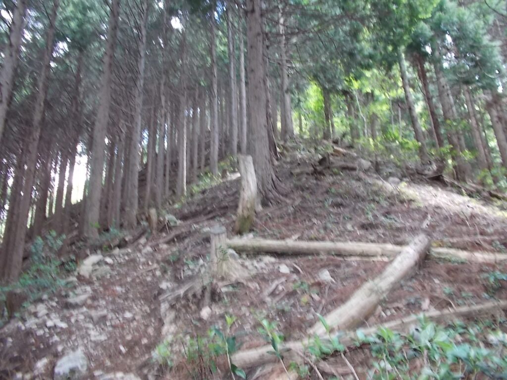 11：07　まだまだ続きます。