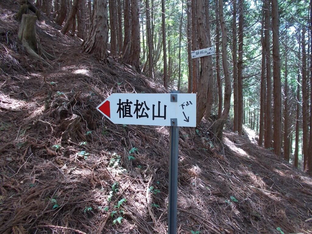 11：16　案内板。このあたり３つに道がありますが、案内の通りにまっすぐに進んでください。