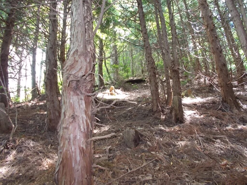 11：17　さらに傾斜は続きます。