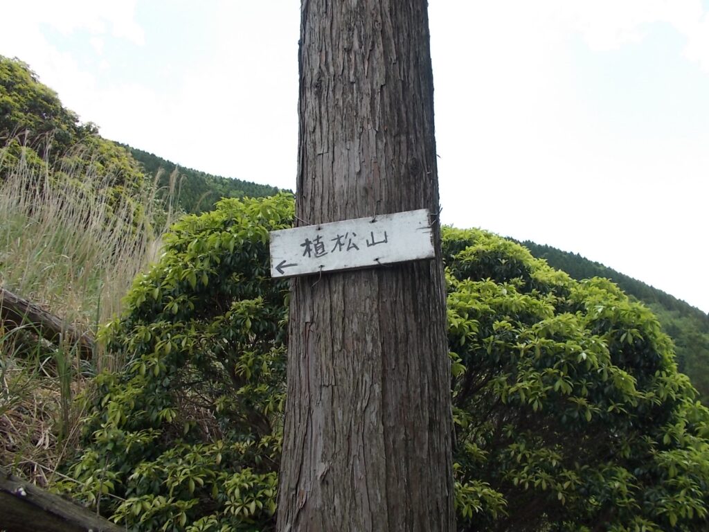 11：33　さらに進んで、木にくくりつけられた案内板。