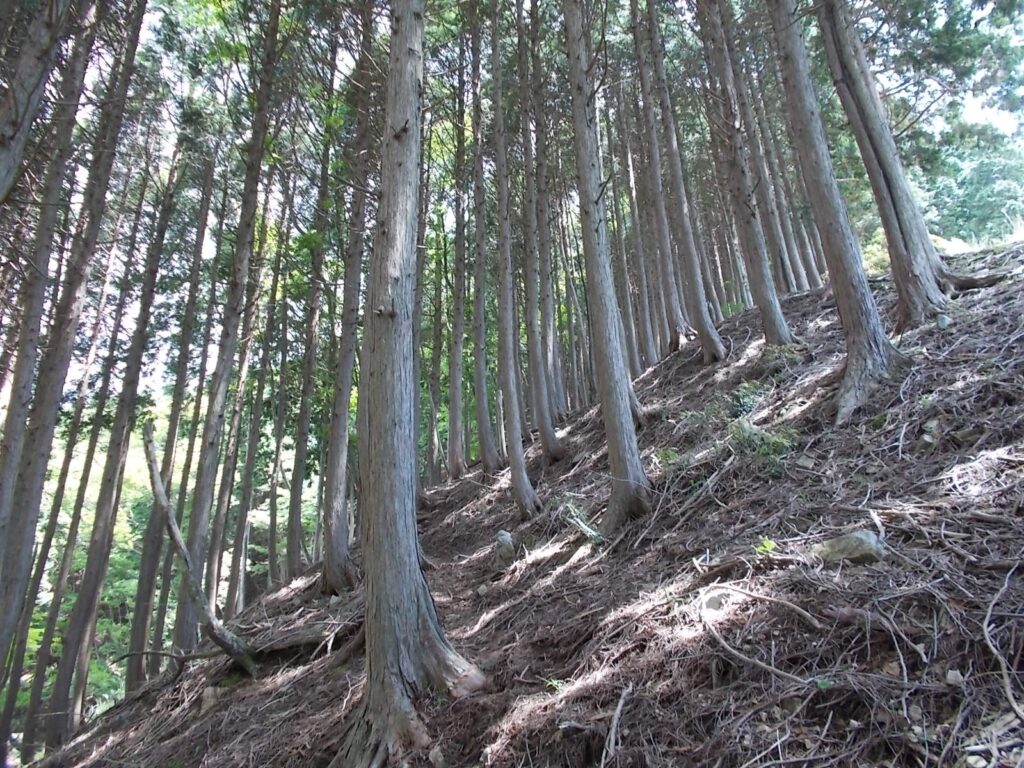 11：35　まだまだ続く急傾斜。