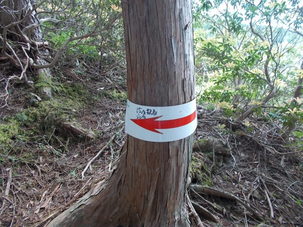 11：35　木に巻き付けられた案内