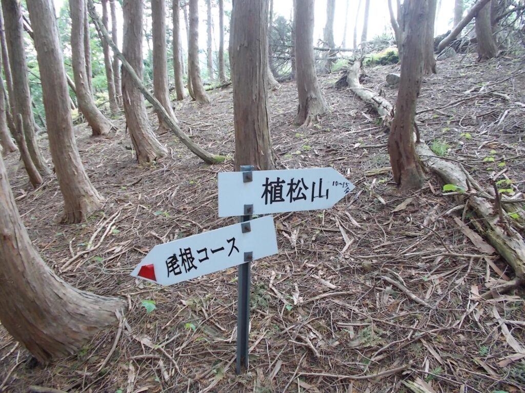 11：39　登り切ると案内板。